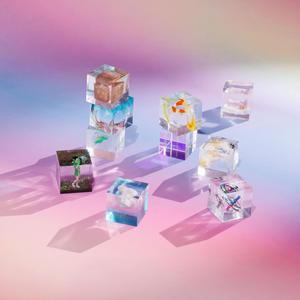 非洲黑人大肥婆大屁股
