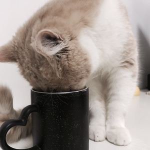 非洲黑人大肥婆大屁股
