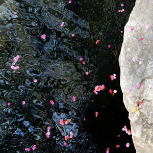 非洲黑人大肥婆大屁股
